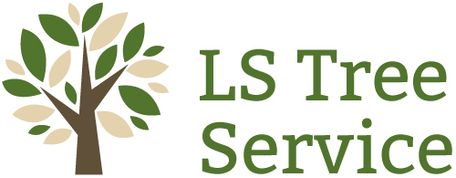 ls tree service